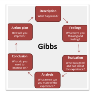 Gibbs reflection nursing assignment help