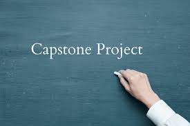 DNP Capstone project writing services