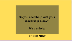 Leadership Styles and Management in Mental Health Care Facilities