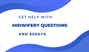 The Benefits of Using Essay Writing Services