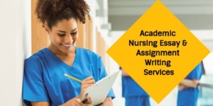 Best Nursing Essay Writing Service Online 2024